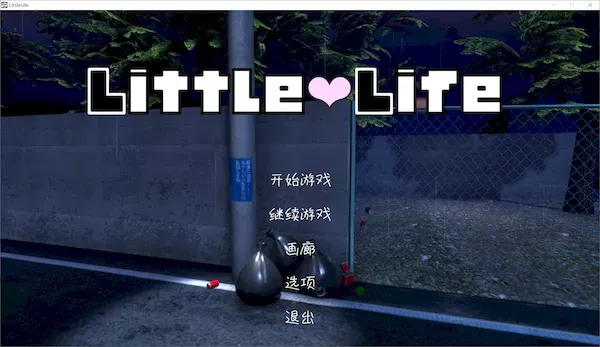 [SLG][官中][RJ257125][いーめいどぷらす]Little Life Ver.1.05